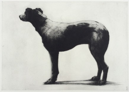 Helen Fay Ruby Etching Edition 24 of 40 37.5 x 53 cm