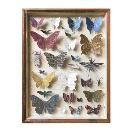 Helen Ward Entomology Case 2 Antique entomology drawer, bookbinding paper, victorian hand written letters and enamel pins. 39 x 29 cm