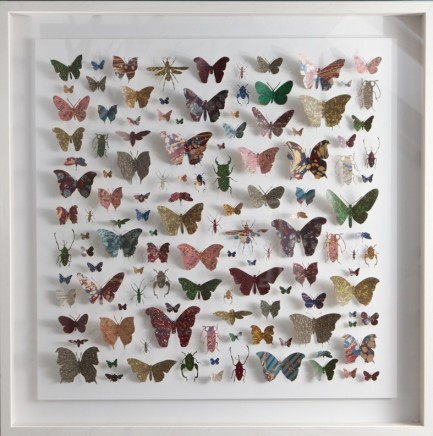 Helen Ward Lepidoptera 2 Victorian hand marbled paper and steel pins 80 x 80 cm