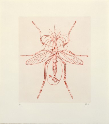 LOUISE BOURGEOIS: AUTOBIOGRAPHICAL PRINTS AND 11 DRYPOINTS