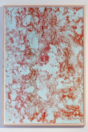 Liza Holzer, Guts, 2019 Pigment print on cotton paper, acrylic paint on glass 110,3 x 79 cm