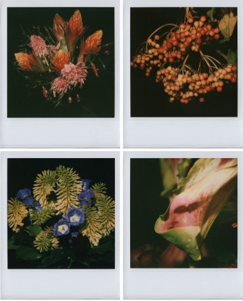 Nobowoshi Araki, Flowers, ca.2006