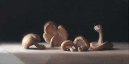 Raquel Alverez Sardina MA SWA Shiitake Mushrooms £1,350