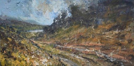 Chris Prout Rains clearing, Nant Gwynant Valley £3,800