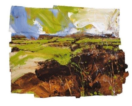 Land (Bolatherick, Bodmin Moor) £6,250