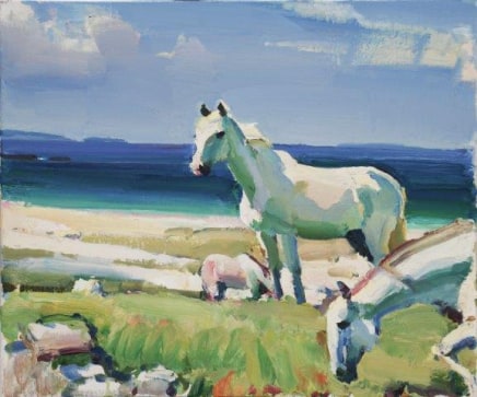 Connemara Ponies by Clare Island £4,500