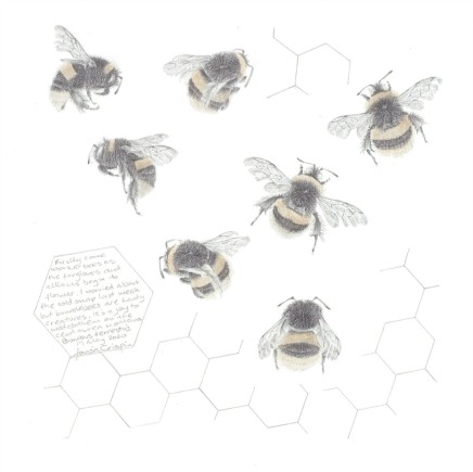Louisa Crispin, Study of a Bumble Bee