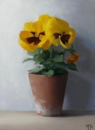 Raquel Alvarez Sardina, Yellow Pansies