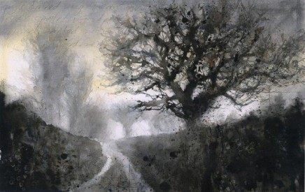 Gary Cook RI SGFA, Foggy morning