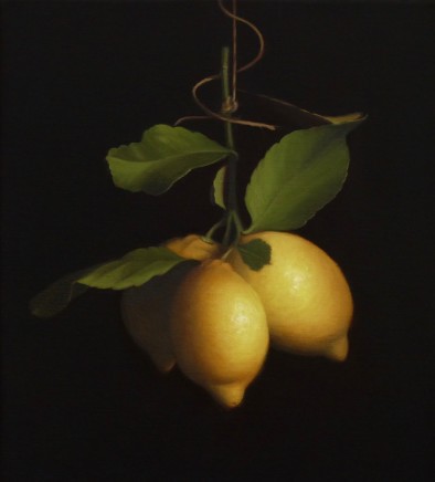 Raquel Alvarez Sardina, Lemons