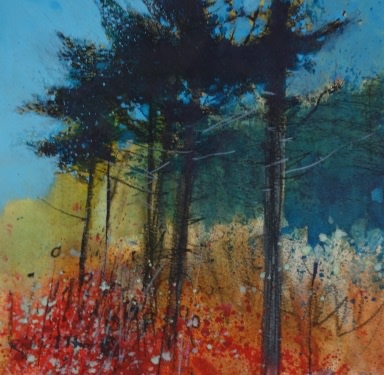 Richard Thorn SWAc, Hidden Pines
