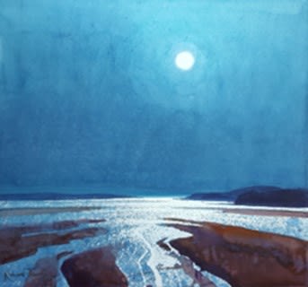 Richard Thorn SWAc, January Moon, Teign Estuary