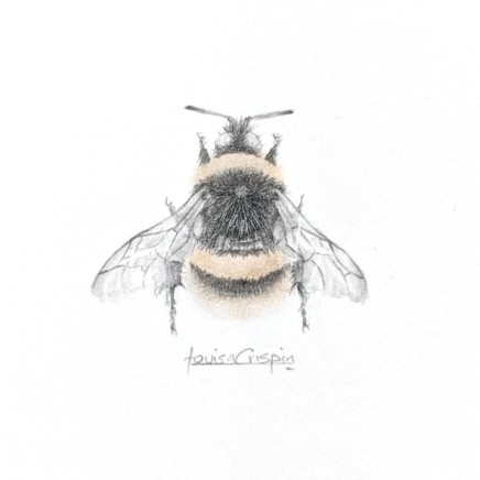 Louisa Crispin, Golden Bee
