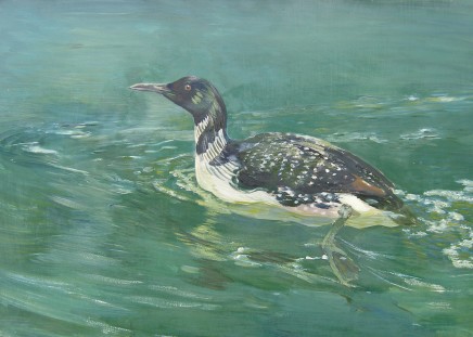 Charles Walter Simpson, Great Northern Diver