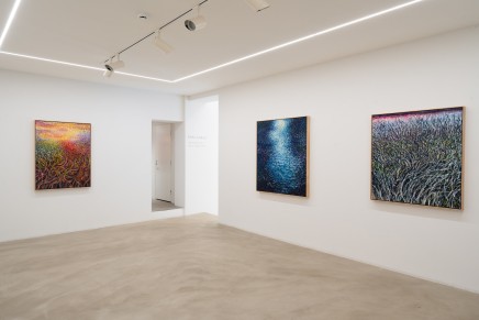 EEMIL KARILA | HARVESTING LIGHT 16.2. - 10.3.2024