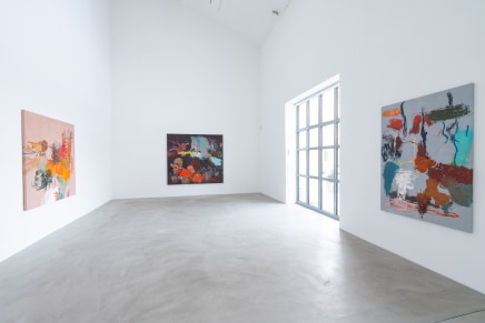 ROY AURINKO | IN THE AIR TONIGHT 10.1 - 2.2.2025