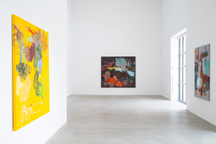 ROY AURINKO | IN THE AIR TONIGHT 10.1 - 2.2.2025