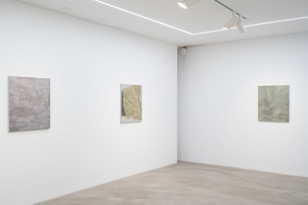 TIINA PYYKKINEN | IMAGINED FUTURE MEMORY 13.1 - 11.2.2024