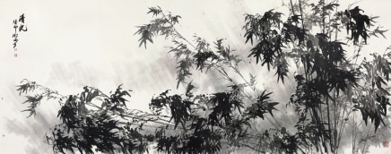 阴澍雨 Yin Shuyu 清光, 2023