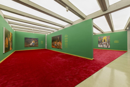 Installation View 6