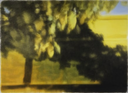Kang Haitao Trees 2022 Acrylic On Paperboard 182X252Cm
