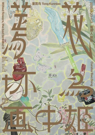 童昆鸟 蔫花坏鸟画中姬