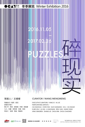 ZHANG Lei Participates in PUZZLES-OCAT Xi'an Winter Exhibition 2016
