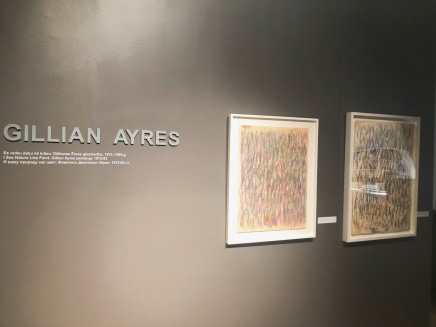 将大自然看作颜料：吉莲·艾尔斯绘画作品1972-1983