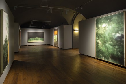 Tender is the Night: The Art of Kang Haitao is a large retrospective and the artist’s first display on Latvian soil