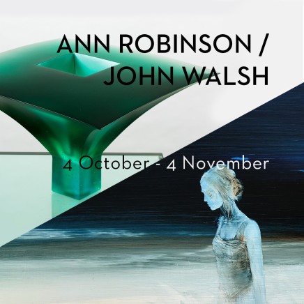Show #17: Ann Robinson / John Walsh