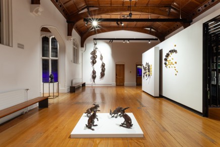 Hannah Kidd In The Night Garden The Central Art Gallery Install 3