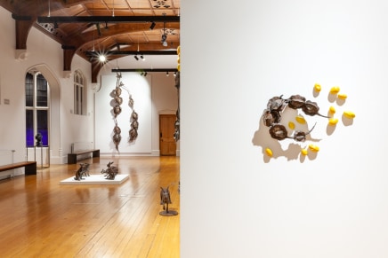 Hannah Kidd In The Night Garden The Central Art Gallery Install 4