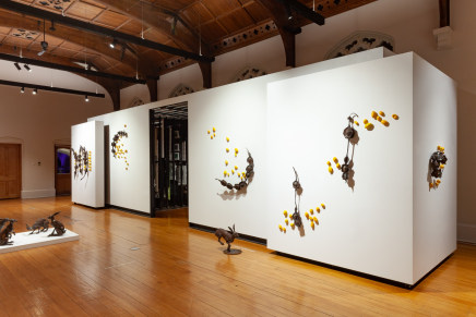 Hannah Kidd In The Night Garden The Central Art Gallery Install 5