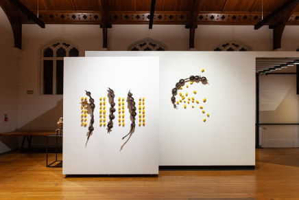 Hannah Kidd In The Night Garden The Central Art Gallery Install 6