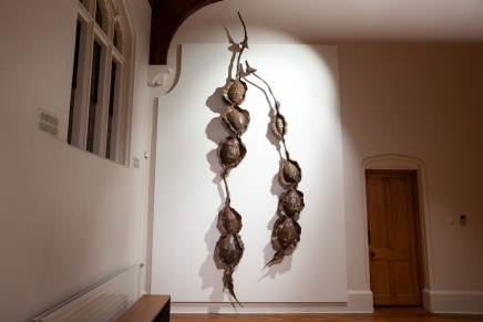 Hannah Kidd In The Night Garden The Central Art Gallery Install 7