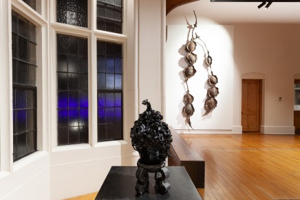 Hannah Kidd In The Night Garden The Central Art Gallery Install 9