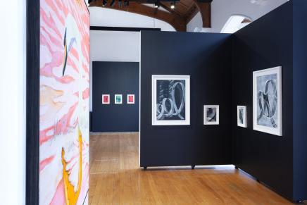 Pete Wheeler Zara Dolan The Central Art Gallery Install Photos 13 Sml
