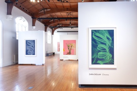 Pete Wheeler Zara Dolan The Central Art Gallery Install Photos 1 Sml