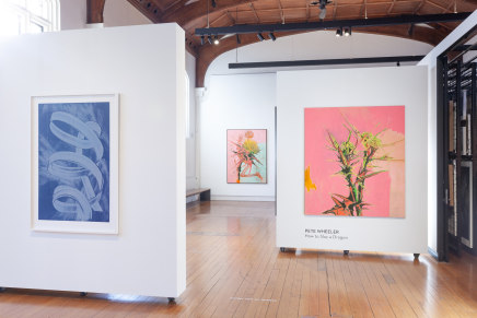 Pete Wheeler Zara Dolan The Central Art Gallery Install Photos 2 Sml