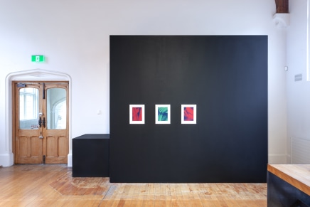 Pete Wheeler Zara Dolan The Central Art Gallery Install Photos 8 Sml