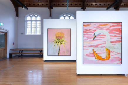 Pete Wheeler Zara Dolan The Central Art Gallery Install Photos 15 Sml