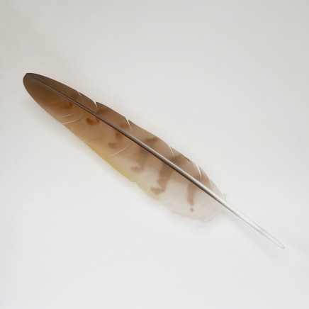 Neil Dawson Kahu Feather, 2019 Aluminium, polycarbonate, acrylic and automotive paint 1750 x 350 x 250mm