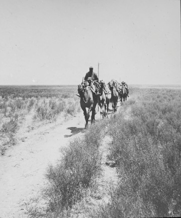 Not known, The Mughan Steppe, Late 19th or early 20th Century