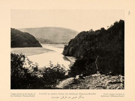 Antoin Sevruguin, Virgin forest on the banks of the Safidrud (Tehran-Rasht), 1926