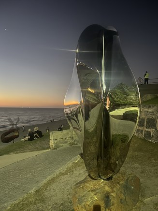 "Distorted Perception" by Sam Hopkins