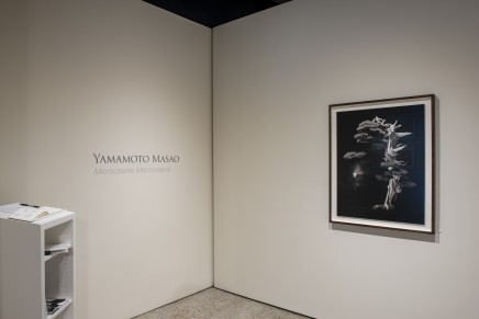 Yamamoto Masao Microcosms Macrocosms Installation Photos 1