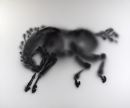 Alison Rossiter | Light Horses