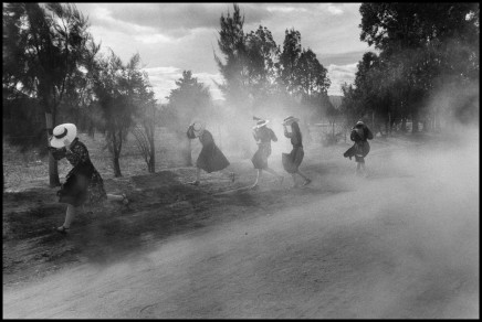 Larry Towell | The Museum Collection