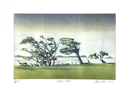 Stanley Palmer, Chathams - Akeake, 2017