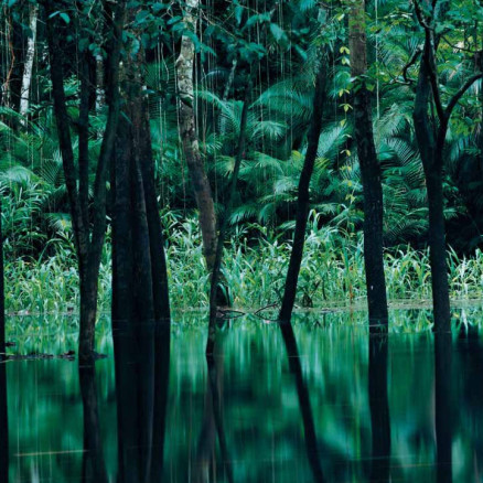 Axel Hütte, Rio Negro II, Brasilien, 1998, Courtesy Galerie Nikolaus Ruzicska, Salzburg und Axel Hütte/Schirmer/Mosel, München © Axel Hütte, Foto: © Axel Hütte (Ausschnitt)